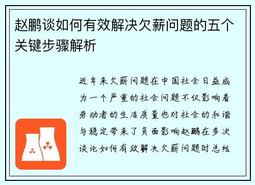 赵鹏谈如何有效解决欠薪问题的五个关键步骤解析